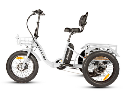 EUNORAU NEW-TRIKE 2.0 — 750W Peak Electric Trike