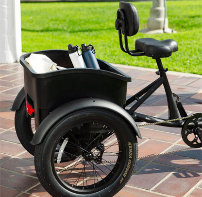 Pedego Trike — Electric Adult Tricycle