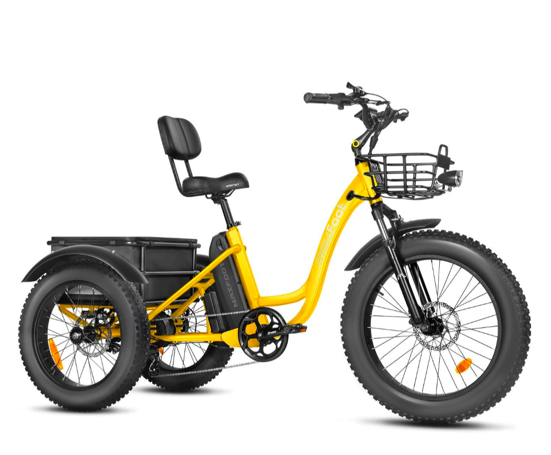 Maxfoot MF-30 Folding Fat Tire Electric Trike