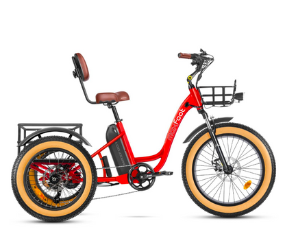 Maxfoot MF-30 Folding Fat Tire Electric Trike