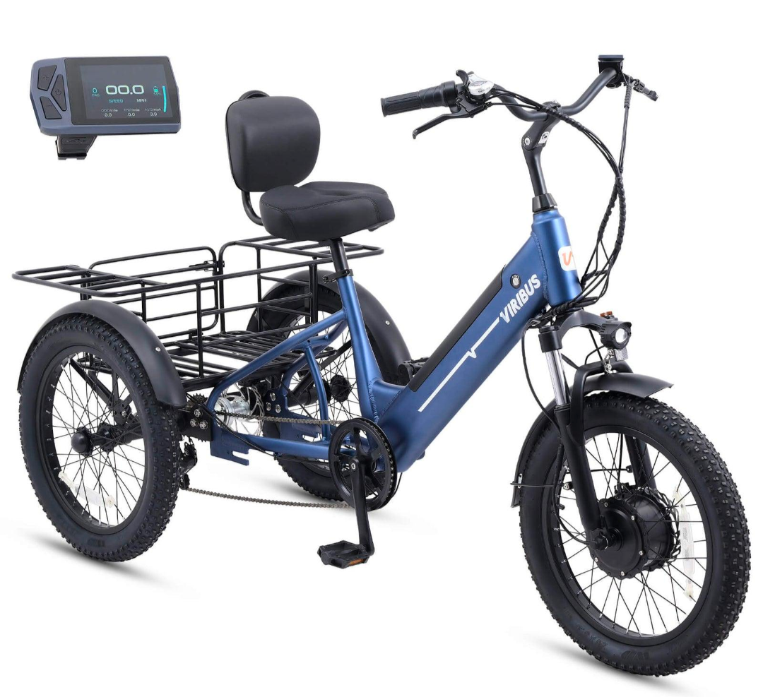 Viribus 500W Electric Tricycle