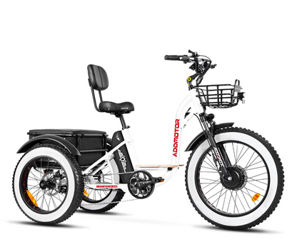 Addmotor Motan M-340 Electric Trike