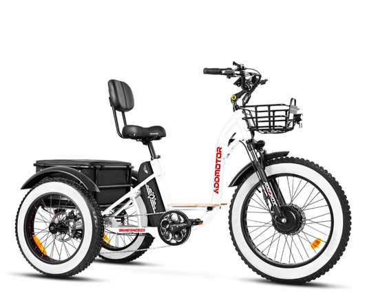 Addmotor Motan M-340 Electric Trike