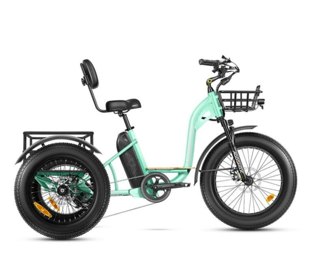 Addmotor Motan M-340 Electric Trike