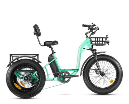 Addmotor Motan M-340 Electric Trike