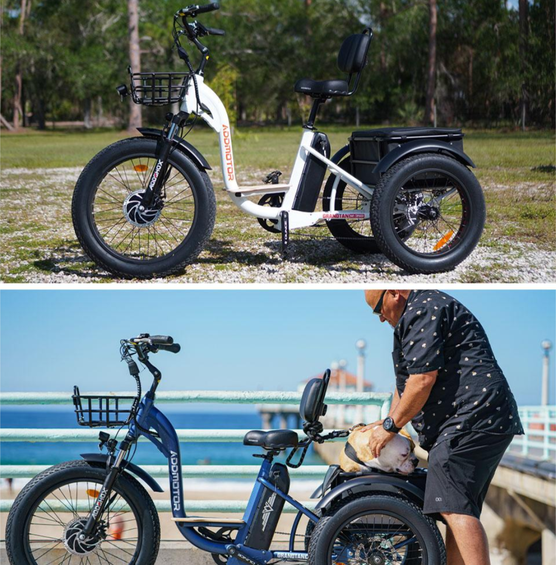 Addmotor Motan M-340 Electric Trike