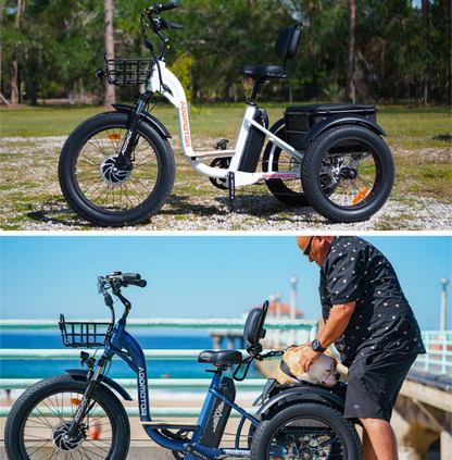 Addmotor Motan M-340 Electric Trike