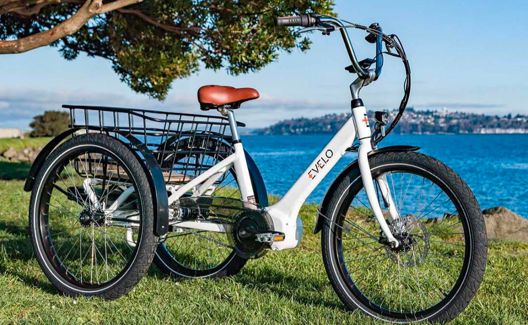 Evelo Compass Electric Trike