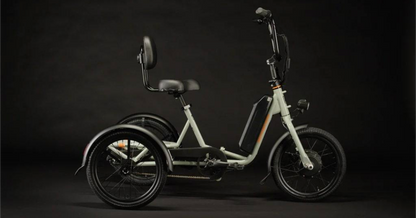 Rad Power Electric Bikes RadTrike 1