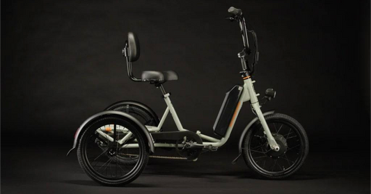 Rad Power Electric Bikes RadTrike 1
