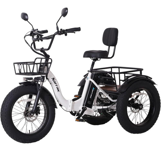 Narrak S180 Folding Electric Bikes