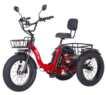 Narrak S180 Folding Electric Bikes