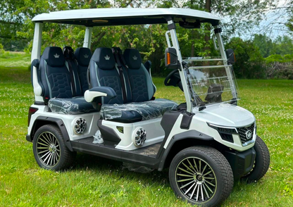 Evolution D-Max GT4 Golf Cart