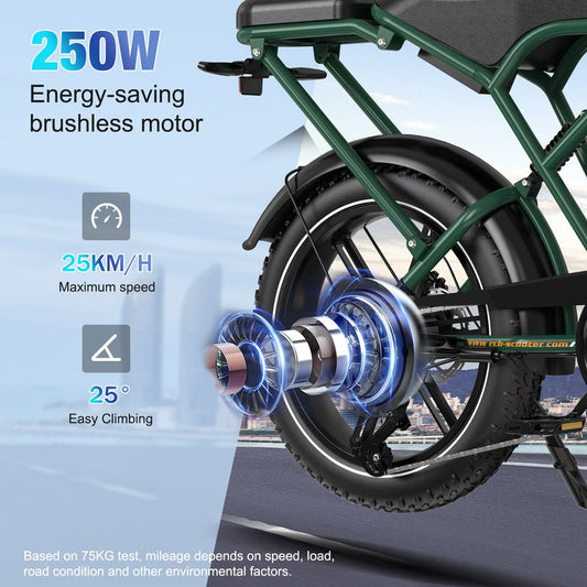 Electric City Bikes G19Mini, E-bikes 4.0" x 16",APP&NFC