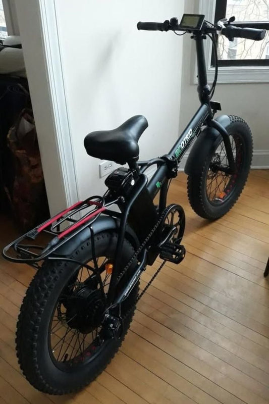 ESKUTE F100 250W city ebike, 36V 9AH , 14-inch tire Foldable Electric Bicycle