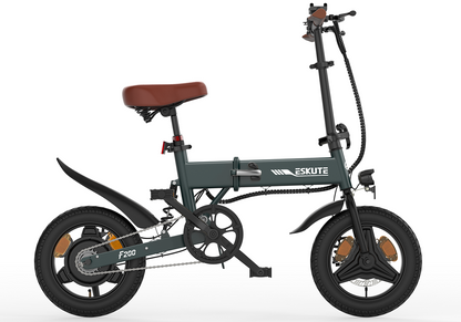 ESKUTE F200 250W city ebike, 36V 7.8AH, 14-inch tire Foldable Electric Bicycle