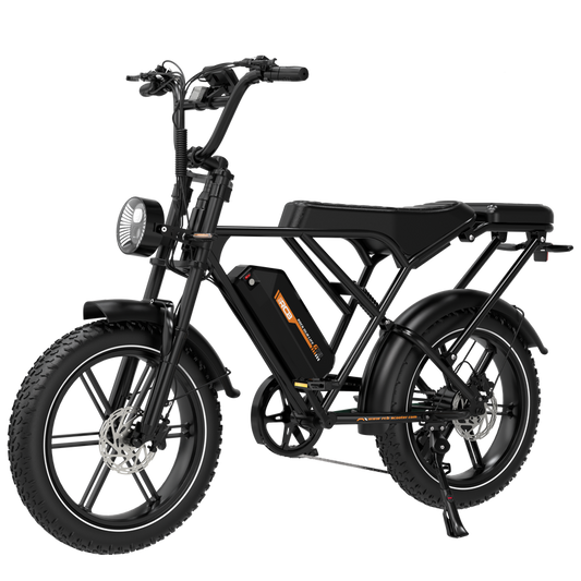 Electric City Bikes G19Mini, E-bikes 4.0" x 16",APP&NFC