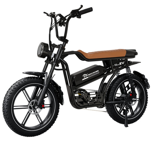 Electric Bike-City Bike-20"x4.0-48V18Ah-250W-NFC-App-All-Terrain E-Bike EK30 Pro